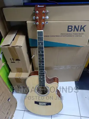 Semi Acoustic Guitar Ibanez I-40