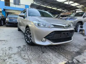 Toyota Axio 2017 Gold