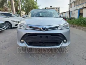 Toyota Axio 2017 Gray