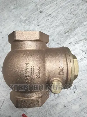 2" Pegler Non Return Valve