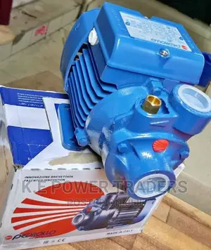 Robust Pedrollo Booster Pump 0.5hp
