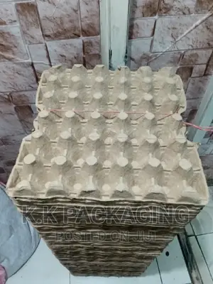 New Carton Egg Trays