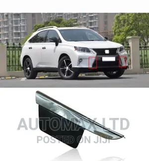 Toyota Lexus 450. Front Towing Hook Cover