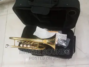Cornet -Type Suzuki