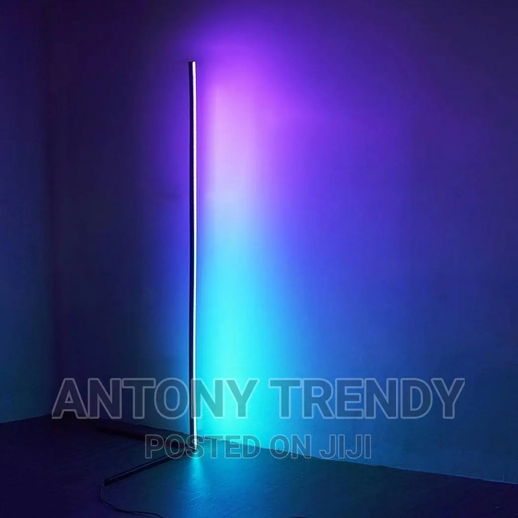 Smart Vertex and Dynamic Corner Floor Lamp