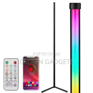 Smart Vertex and Dynamic Corner Floor Lamp