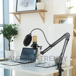 Bm 800 Condenser Microphone Sound Recording for Radio Broad