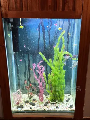 Long Aquarium Plants ( Bushy Green)