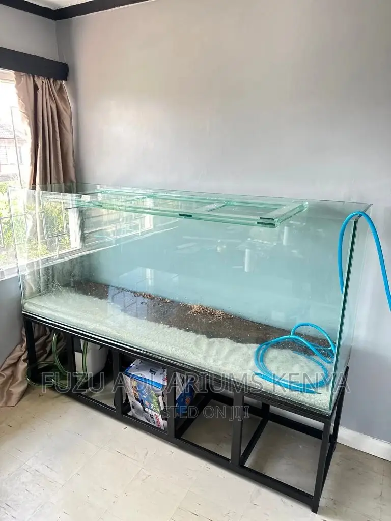 7ft Aquarium