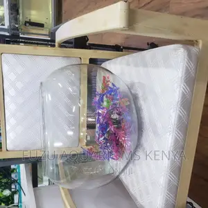 Huge Bowl for Fish
