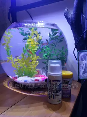 Fish Bowl for Fish