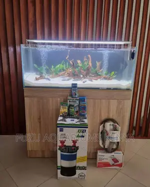 Aquarium With White Sand and Natural Deco