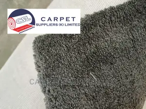 Grey Wall to Wall Carpet