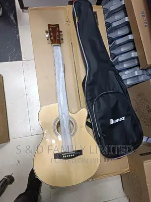 Ibanez Size 40 Acoustic Guitar Plus Padded Ibanez Bag