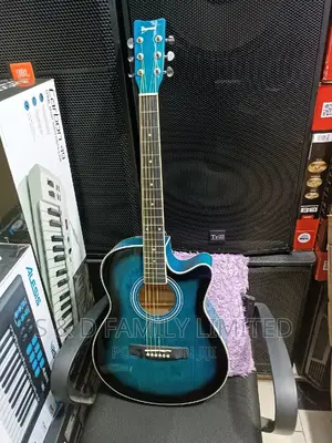 Ibanez Full Size Acoustic Guitar