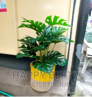 *Beautiful Artificial Monstera Plant With a Basket