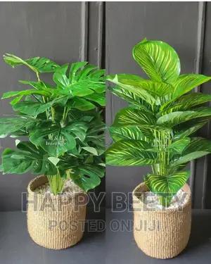 *Beautiful Artificial Monstera Plant With a Basket*