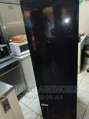 Display Fridge Cooler 300l