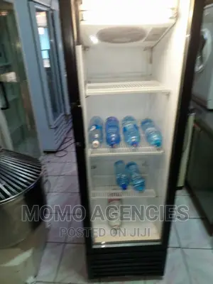 Display Fridge Cooler 300l