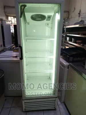 Display Cooler Fridge 400l