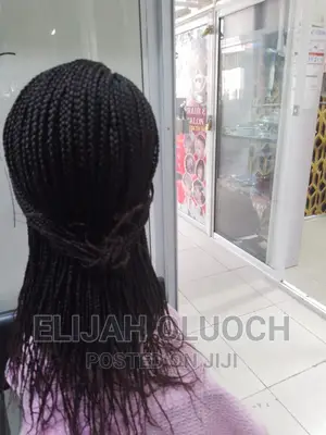Braided Long Wigs