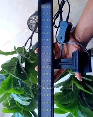 Aquarium Top Light