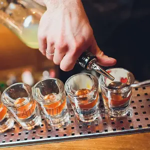 Stainless Steel Liquor/ Bottle Pourer Sprout