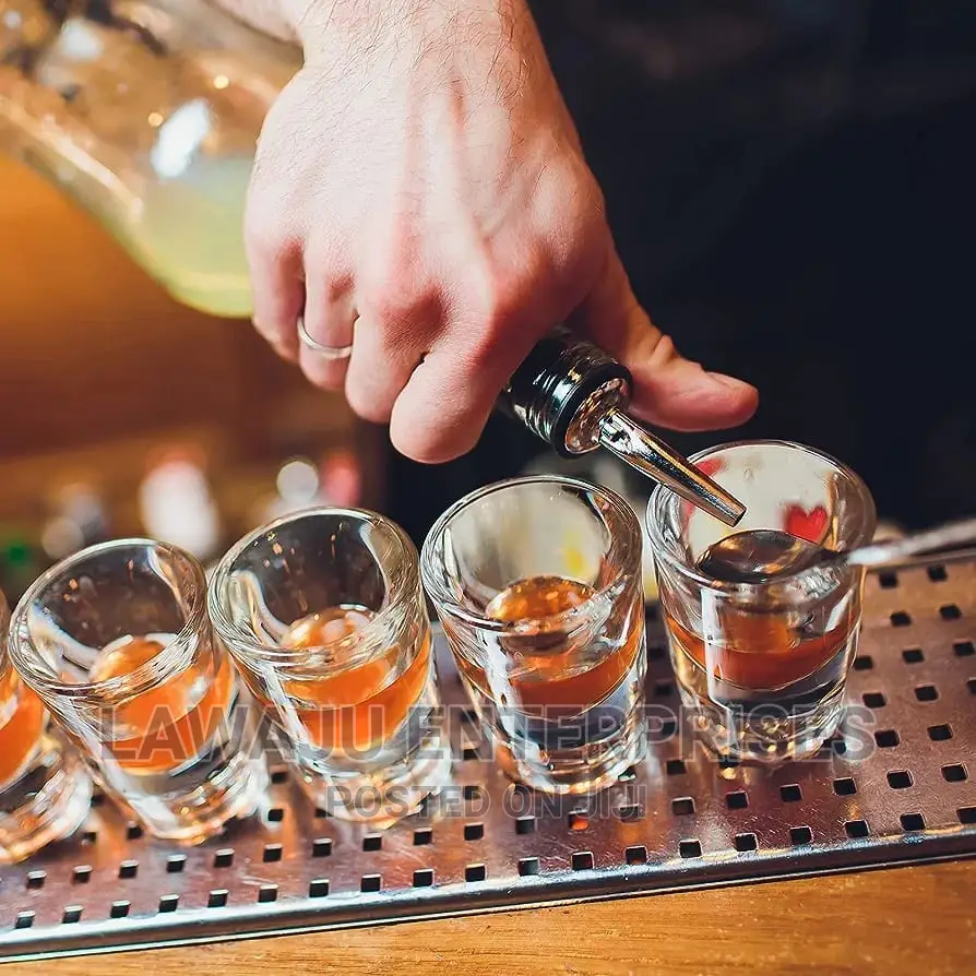Stainless Steel Liquor/ Bottle Pourer Sprout