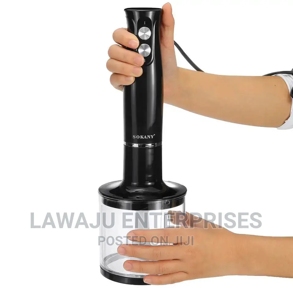 4 in 1 Hand Blender