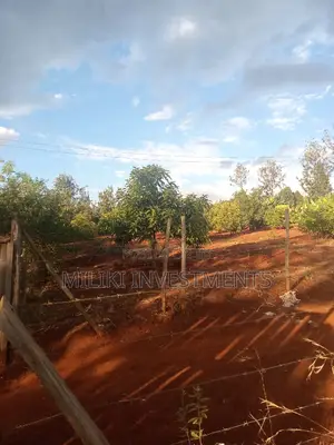3 Acres of Land on Sale at Summary Maragua Area.