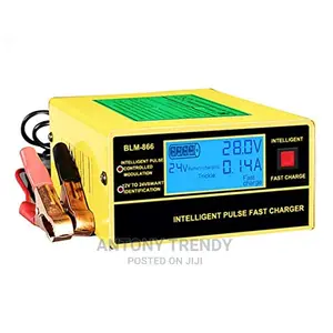 LCD Full Automatic Car Battery Charger 150v/250v to 12V 24V