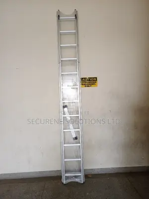 Aluminum Double Extension Ladder 2*12trends /24ft