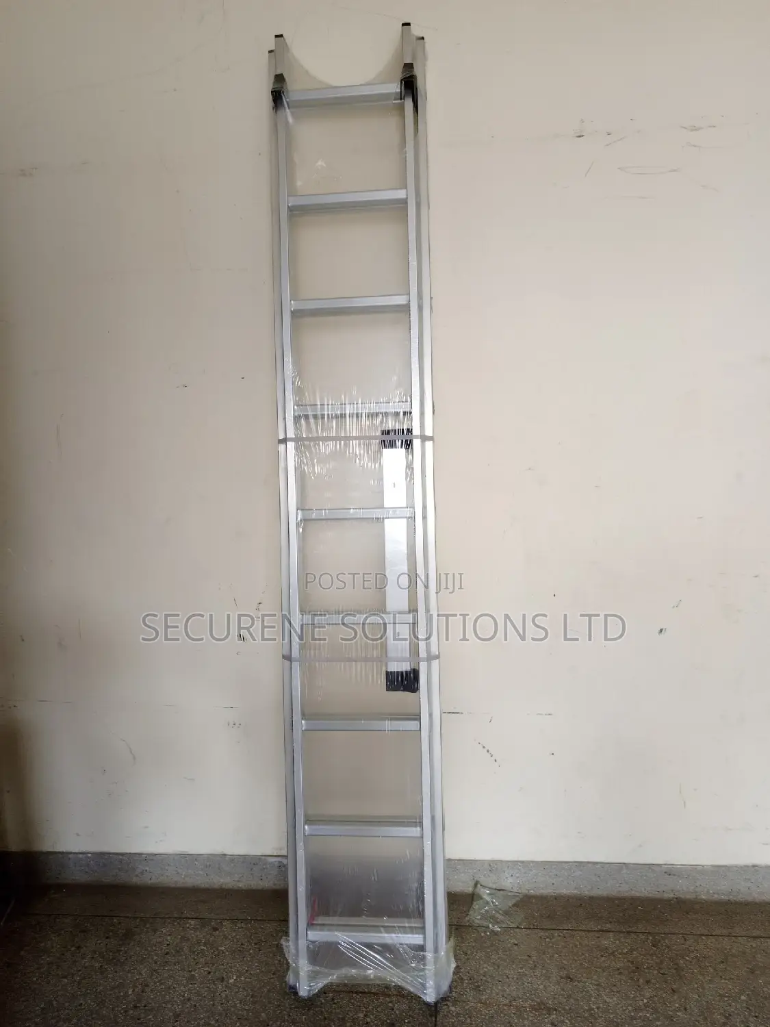 Aluminum Double Extension 2*10steps/20ft