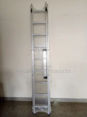 Aluminum Double Extension 2*10steps/20ft
