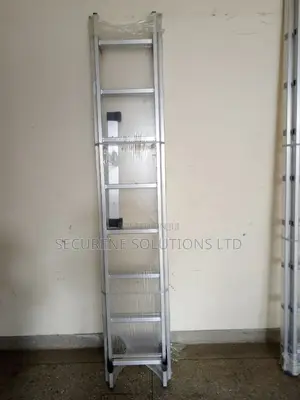 Aluminum Double Extension 2*8steps/16ft