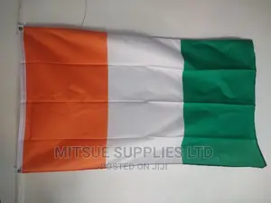 Country National Flag - Ivory Coast 38by58 Inch Polyester