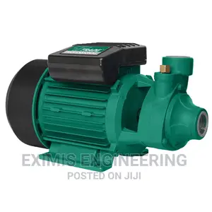 Electric Domestic Booster Pump 1hp