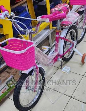 Wonderful Experience Junior Girl's Bike