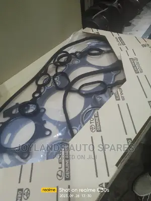 Probox Overhaul Gasket Kit