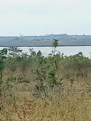 For Sale 1 Acre Plot Touching Dongo Kundu Bypass