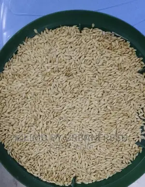 Barley Seeds for Hydroponics Fodder 10kgs