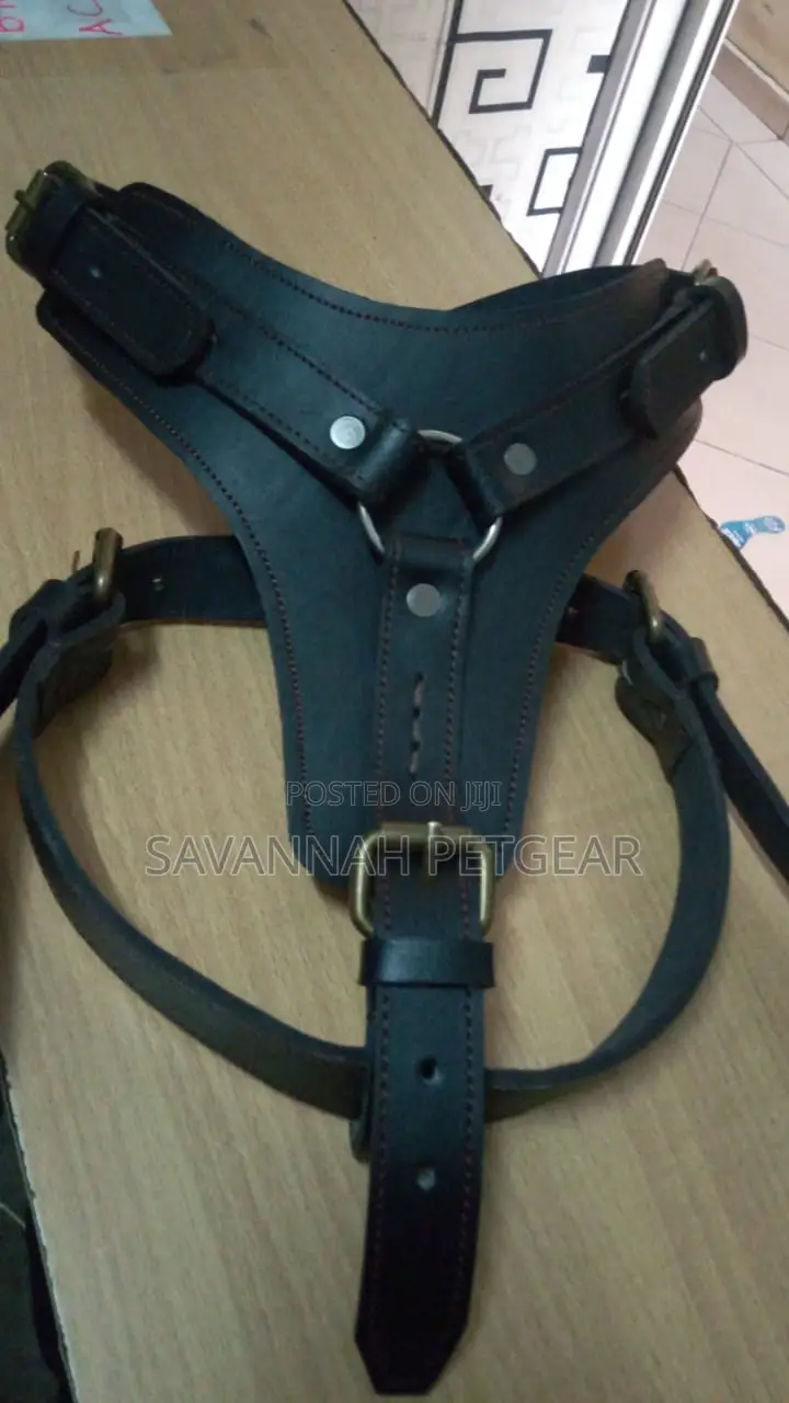 Spiked and Non-Spiked Heavy Duty Genuine Leather Dog Harness