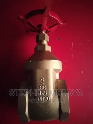 Gate Valve 3"