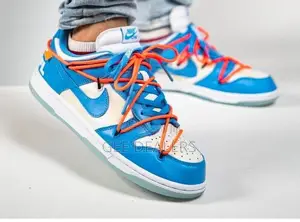 Nike SB Dunk Sneakers