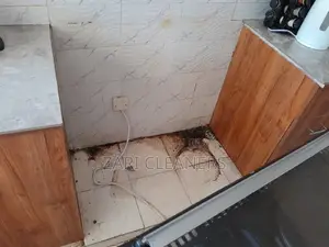 Kitchen Fumigation and Thorough Cleaning