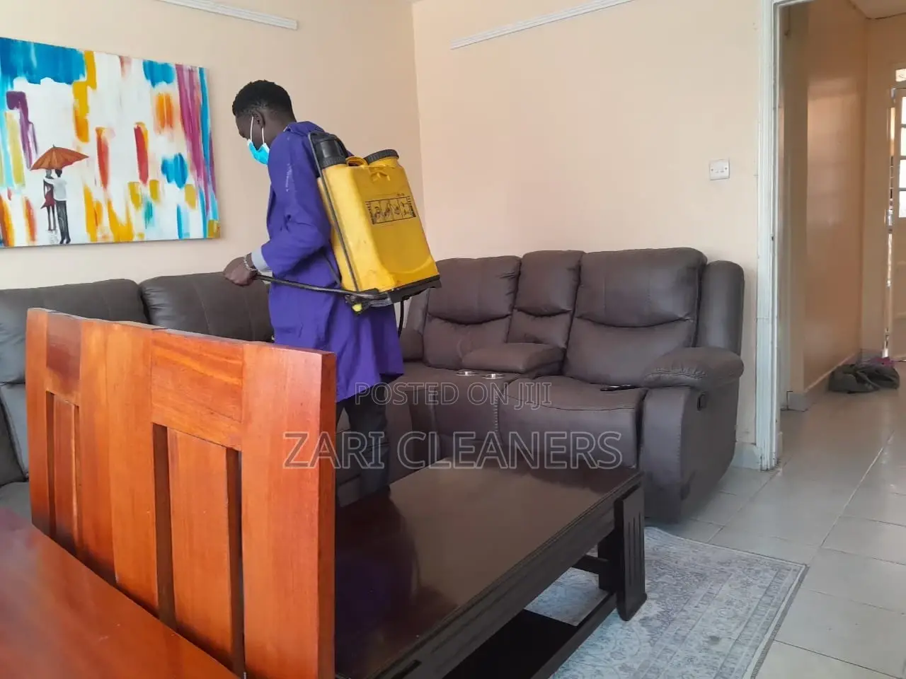 Seats Disinfection - Bedbugs Removal