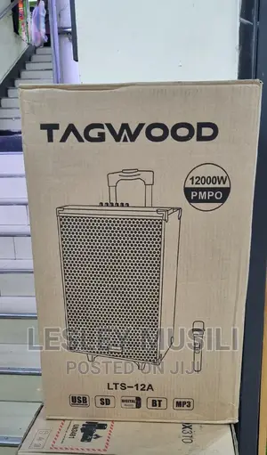 TAGWOOD LTS-12A Outdoor Speaker Black With Bluetooth,