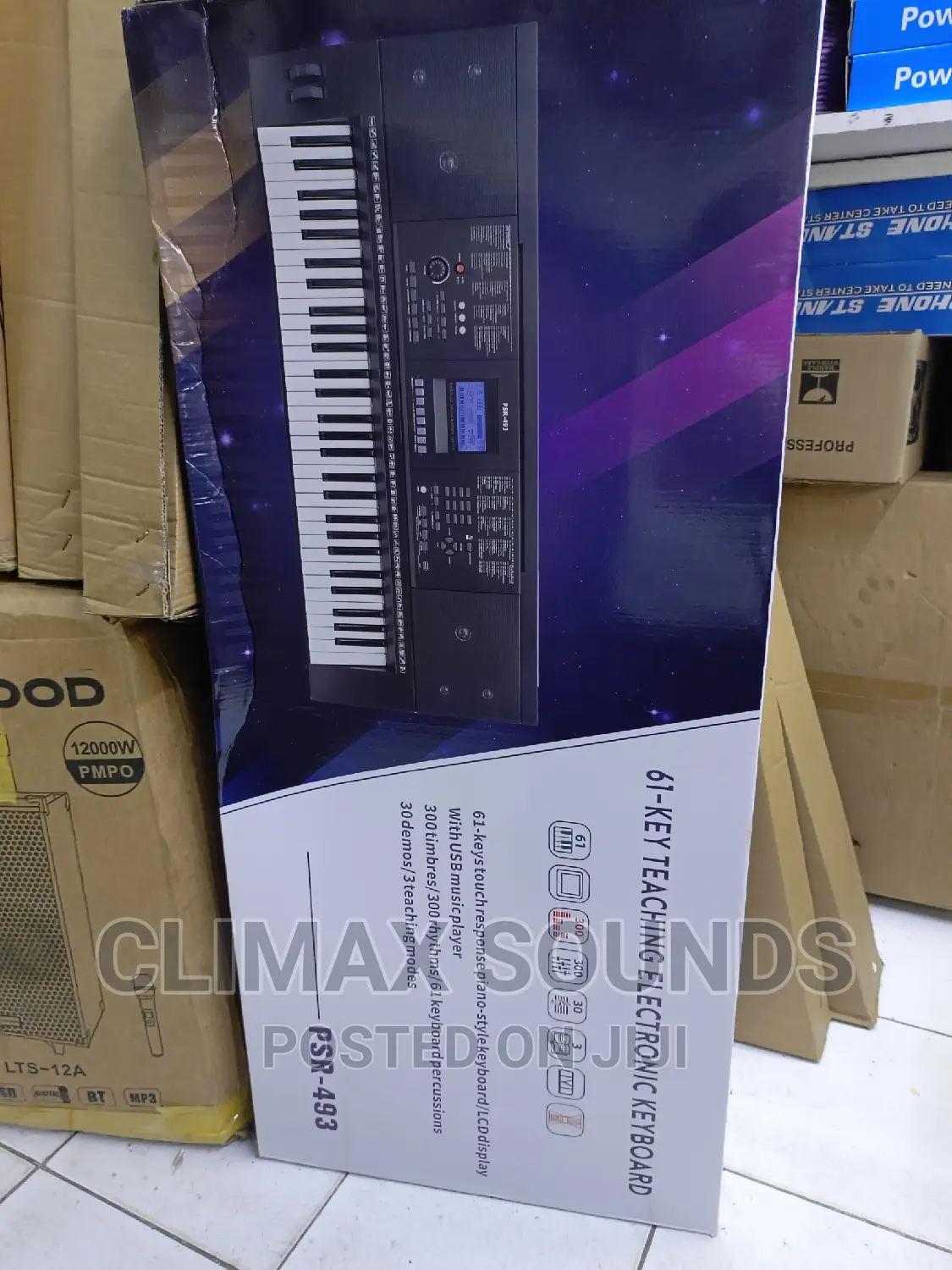 PSR-493, Electronic Teaching Keyboard
