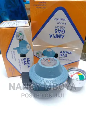 13 KGS Gas Regulator With Gauge