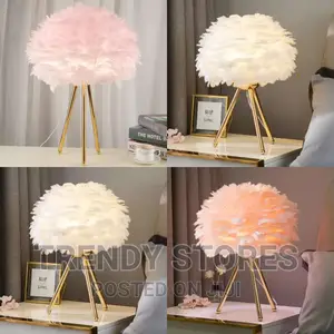 L.E.D Modern Night Feather Light